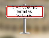 Diagnostic Termite AC Environnement  à Vallauris